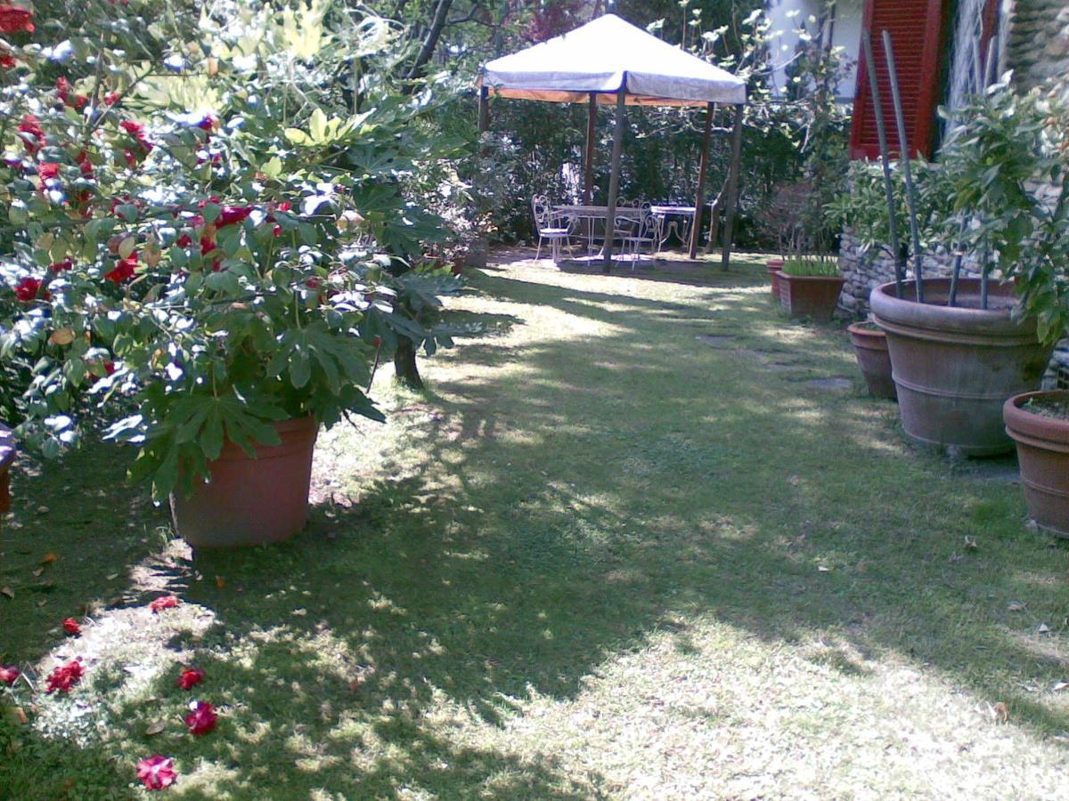 Villa Feltran Forte dei Marmi Exteriér fotografie